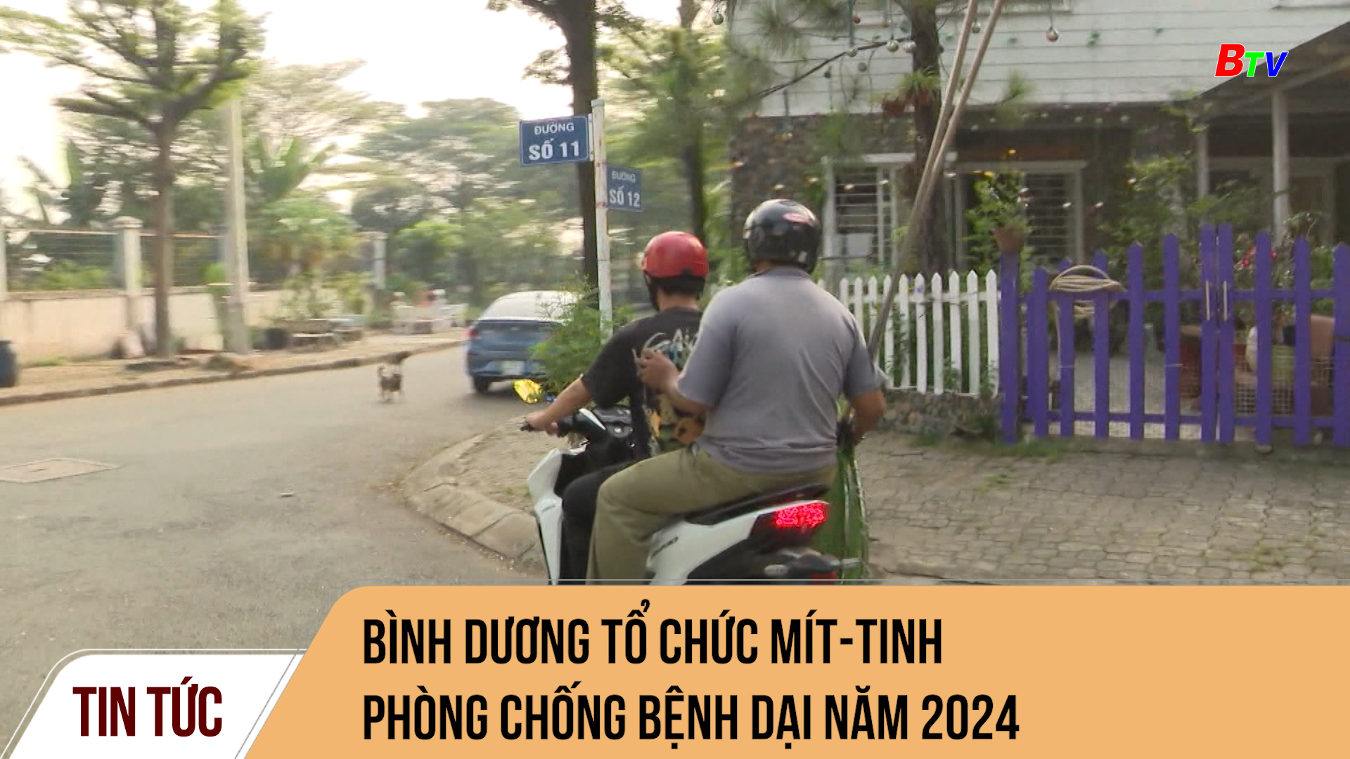 Bình Dương tổ chức mít-tinh phòng chống bệnh dại năm 2024